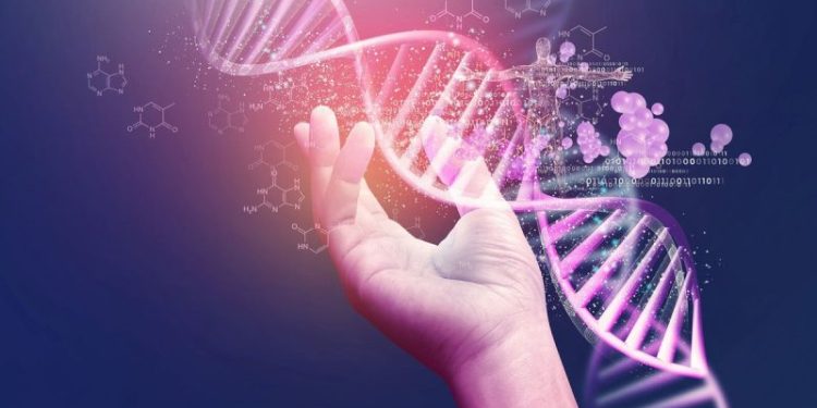 How to Invest in Gene Stocks and ETFs