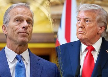 Republicans, Trump run into Senate roadblock on voter ID bill