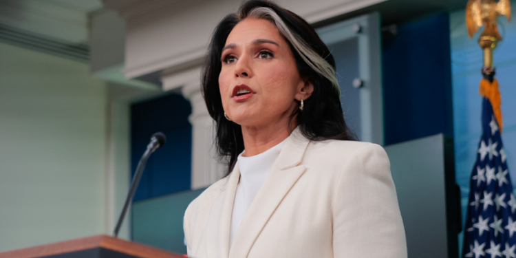 EXCLUSIVE: Gabbard outlines election security assessment, presence at Fulton County search